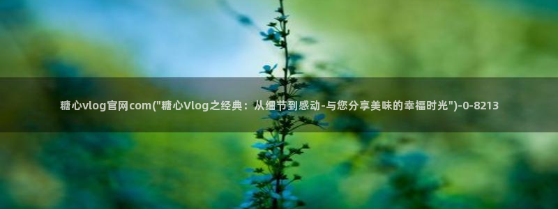 糖心vlog在线客服：糖心vlog官网com(\