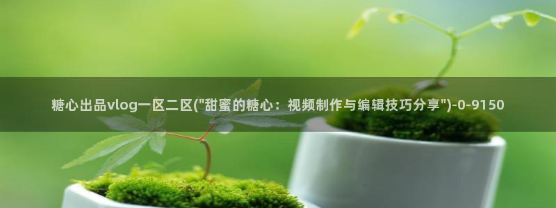 糖心vlog女主角多人