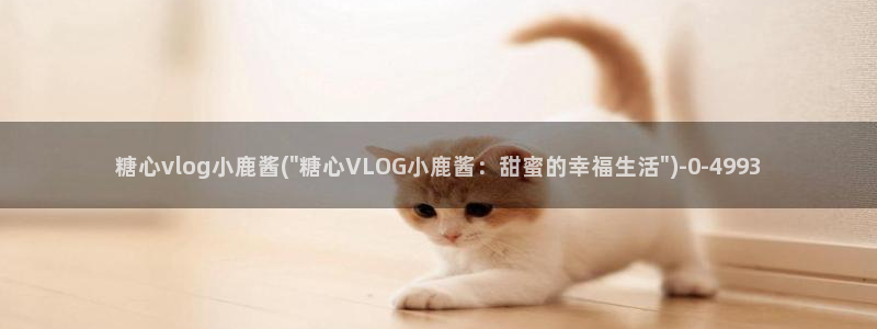 糖心vlog湖南