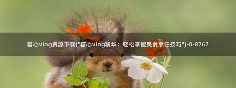 av软件糖心vlog