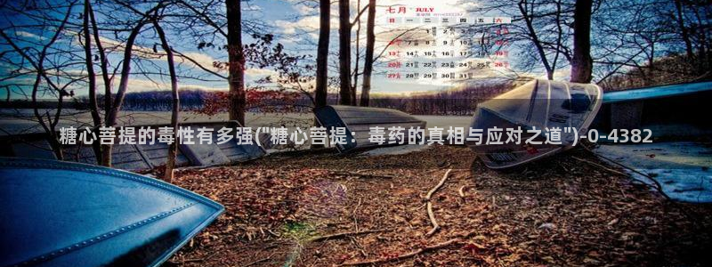 糖心成年版糖心vlog 葫芦