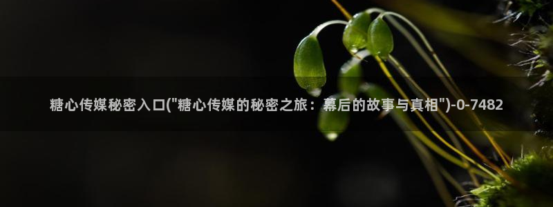 糖心vlog视频免费下载：糖心传媒秘密入口(\