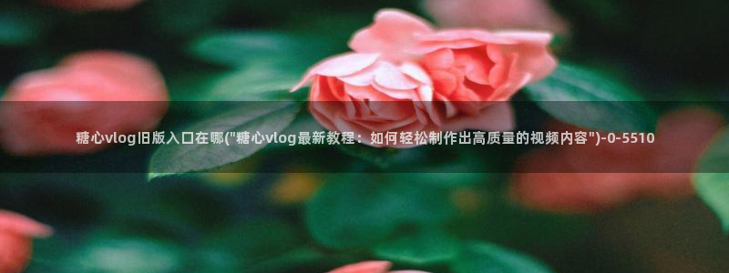 糖心vlog,在线观看