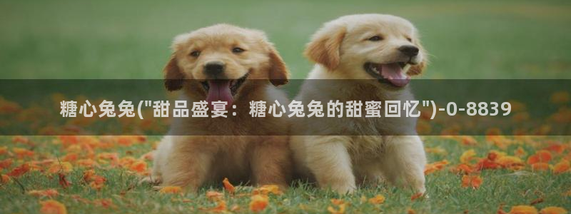 糖心vlog女优