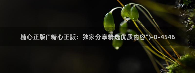 糖心短视频