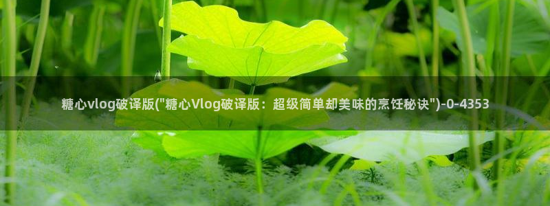 糖心vlog中国