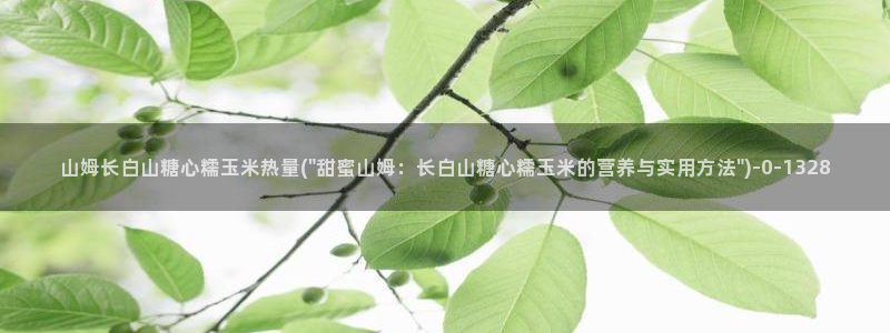 糖心vlog萝莉
