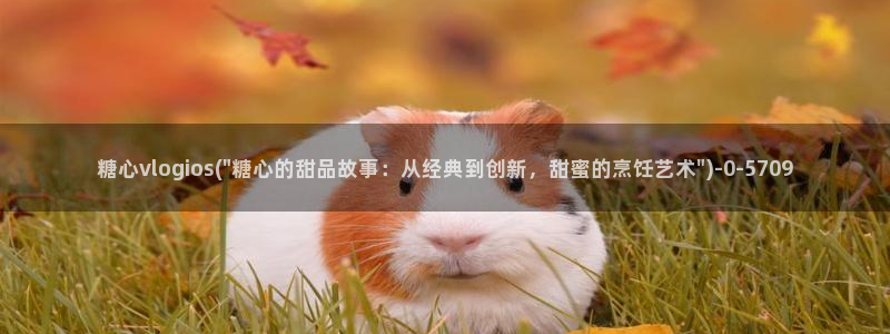 糖心vlog所有演员