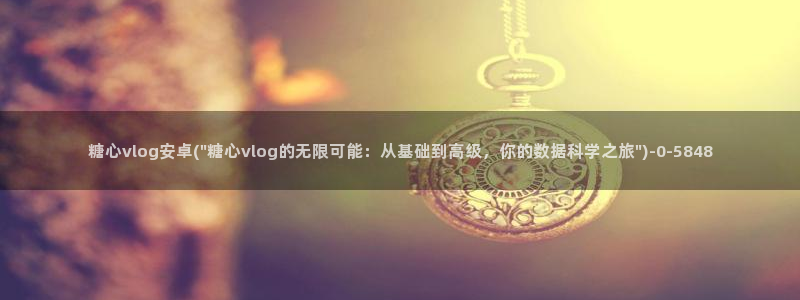 心糖vlog在线免费播放