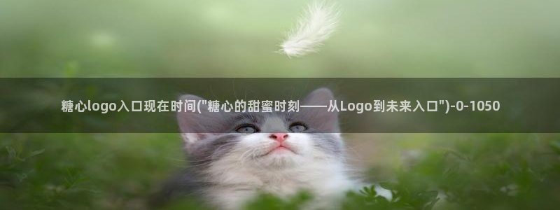 糖心vlog破解版官网下载