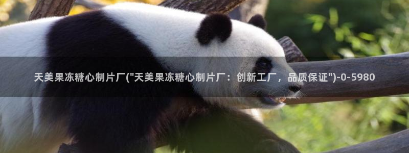 糖心vlog免费版本