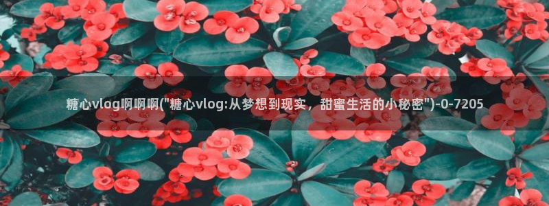 糖心vlog新官网版入口