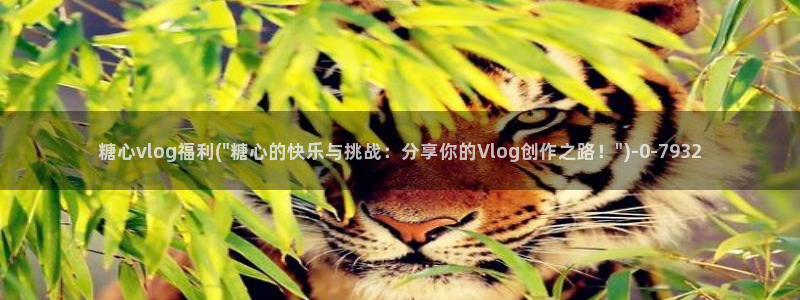 糖心vlog女演员：糖心vlog福利(\