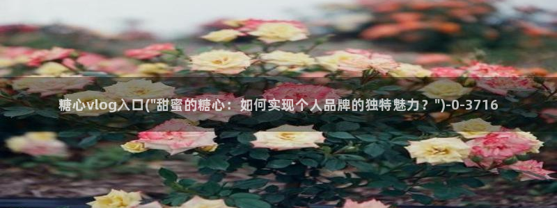 心糖vlog免费在线观看